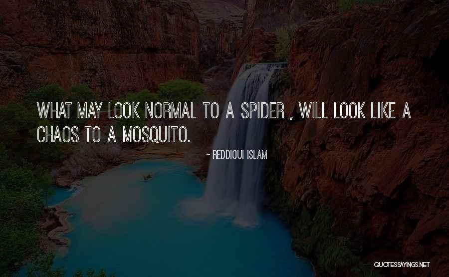 Ebonstar Quotes By Reddioui Islam Ebonstar Quotes By Reddioui Islam