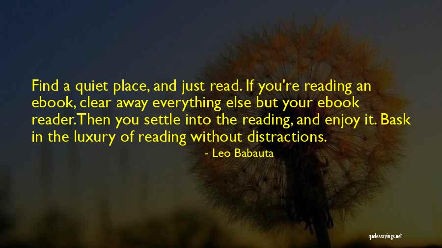 Ebook Reader Quotes By Leo Babauta