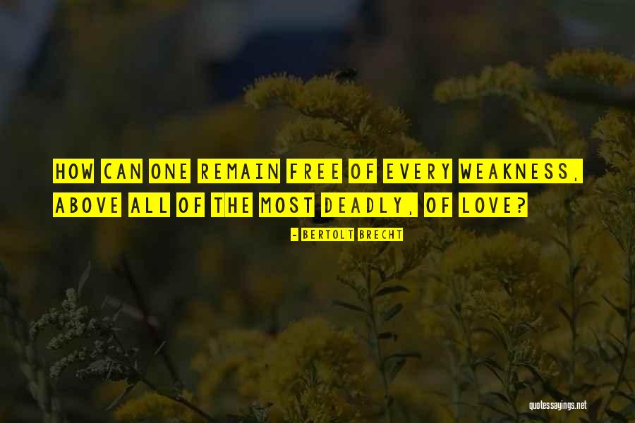 Ebruli Beyaz Quotes By Bertolt Brecht