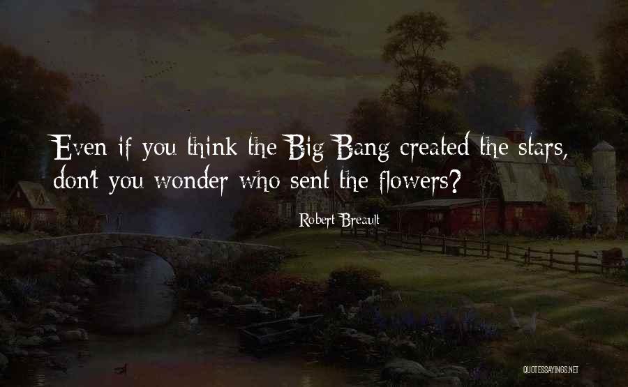 Ebruli Beyaz Quotes By Robert Breault