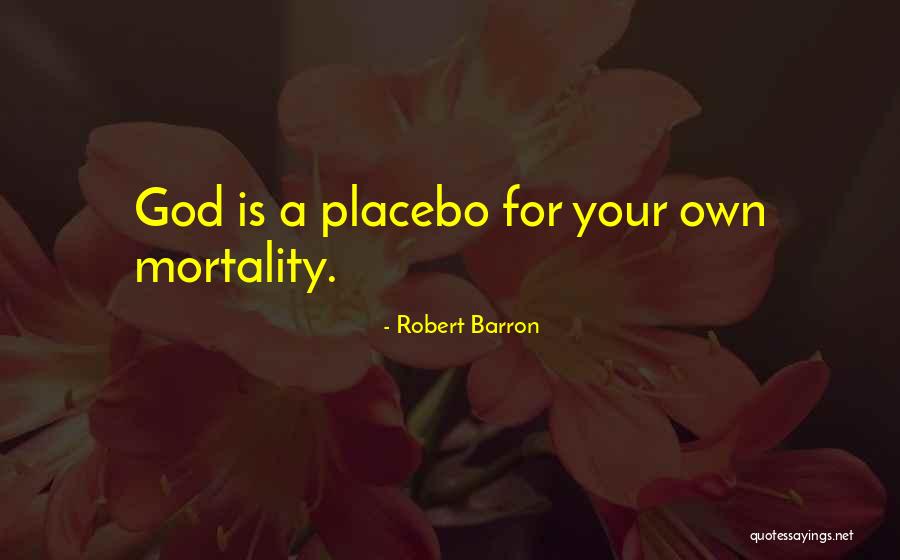 Eccetera Bruxelles Quotes By Robert Barron Eccetera Bruxelles Quotes By Robert Barron