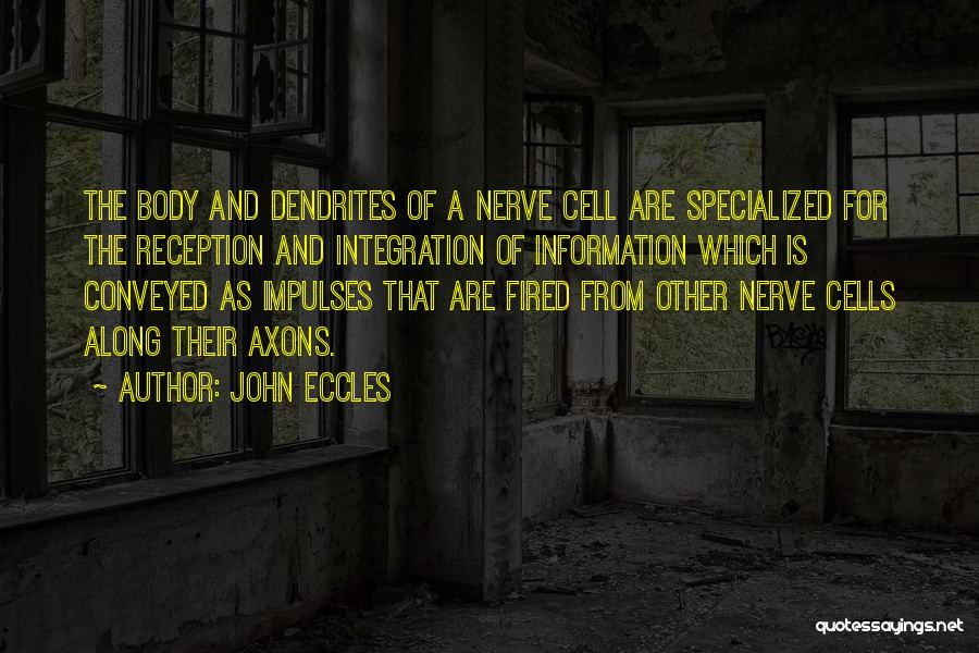 Eccles Quotes By John Eccles