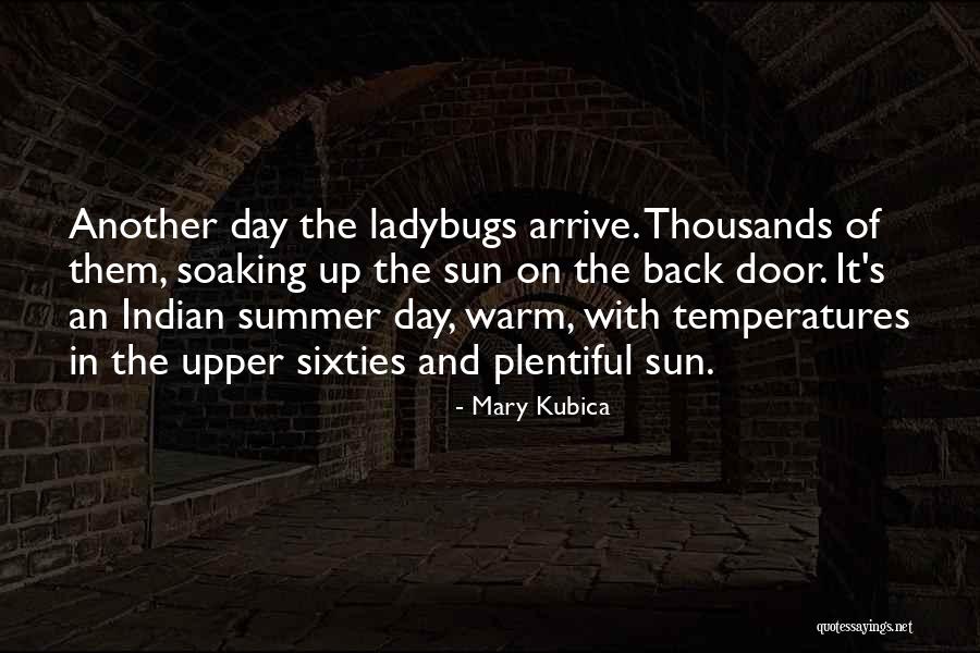 Echarme O Quotes By Mary Kubica Echarme O Quotes By Mary Kubica