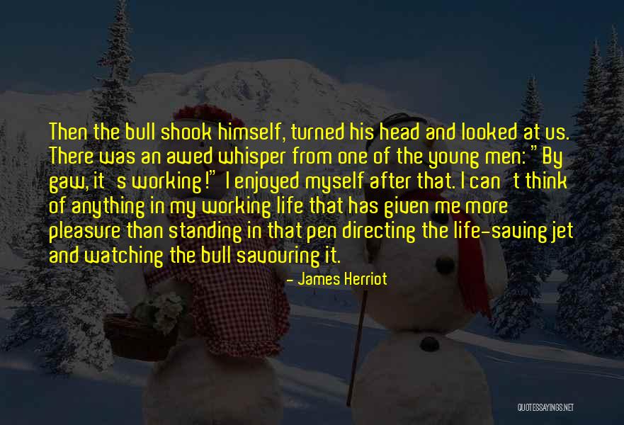 Echarse A Perder Quotes By James Herriot Echarse A Perder Quotes By James Herriot