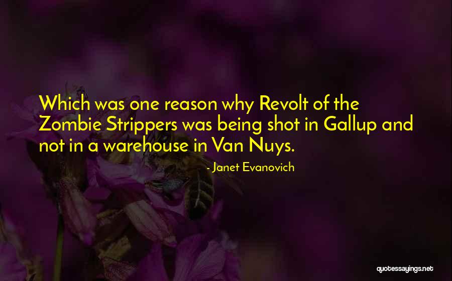 Echatos Quotes By Janet Evanovich Echatos Quotes By Janet Evanovich
