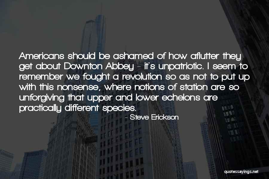 Echelons Quotes By Steve Erickson Echelons Quotes By Steve Erickson