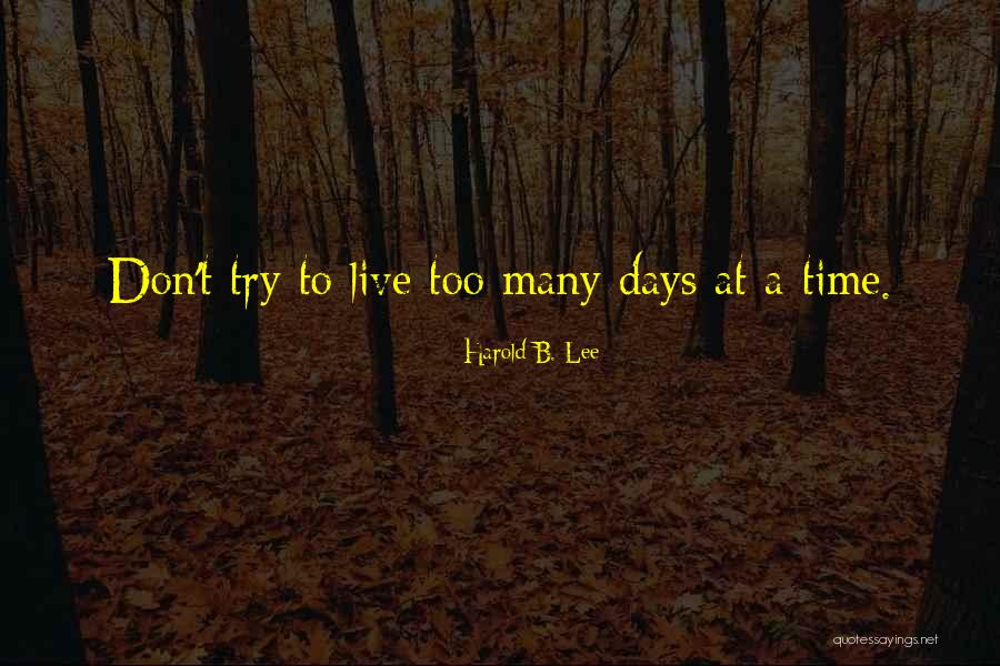 Echenique Padron Quotes By Harold B. Lee Echenique Padron Quotes By Harold B. Lee