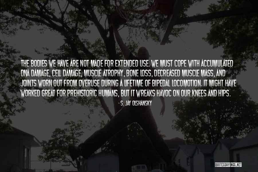 Echeverr A B Quotes By S. Jay Olshansky Echeverr A B Quotes By S. Jay Olshansky
