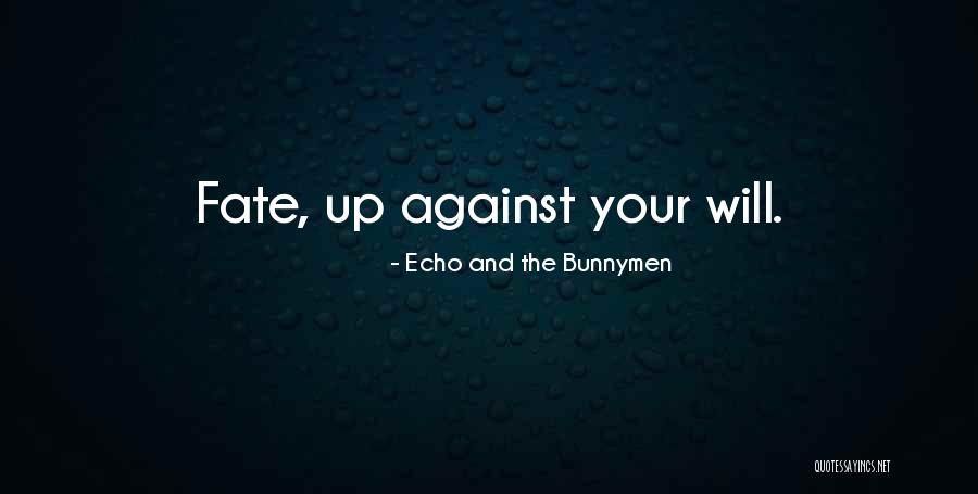 Echo And The Bunnymen Quotes 1028201