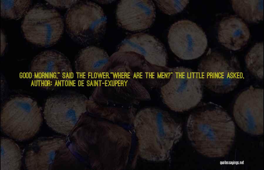 Echoed Quotes By Antoine De Saint-Exupery