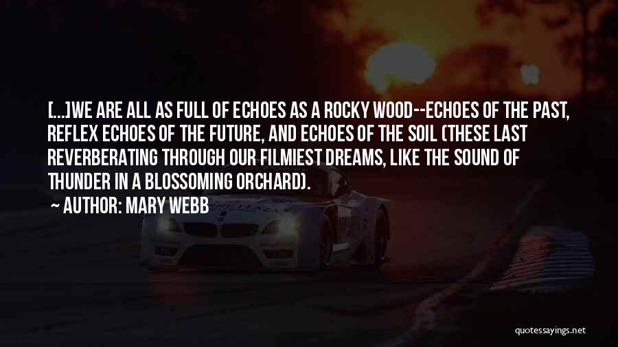 Echoes Quotes By Mary Webb