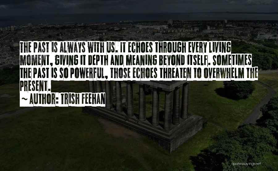 Echoes Quotes By Trish Feehan
