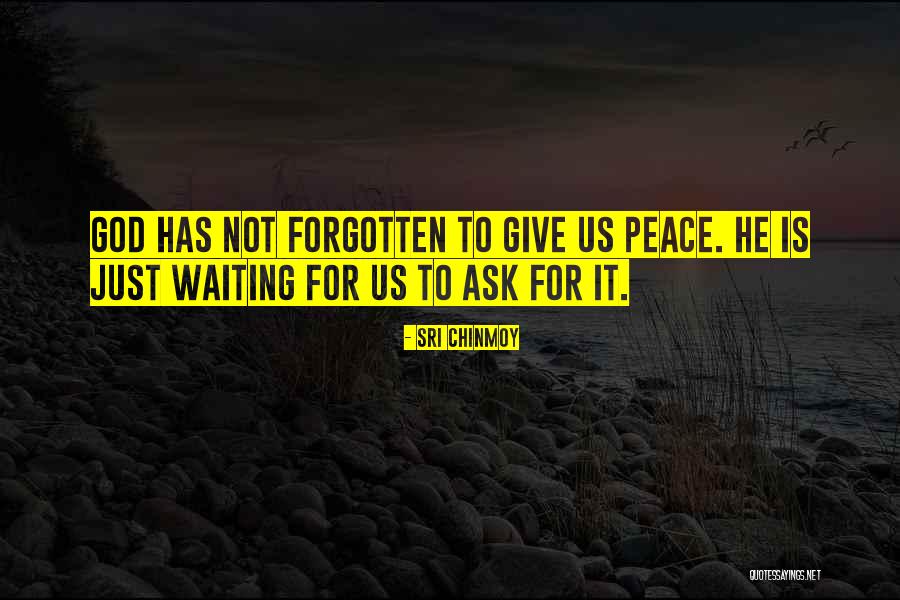 Echoey Quotes By Sri Chinmoy Echoey Quotes By Sri Chinmoy