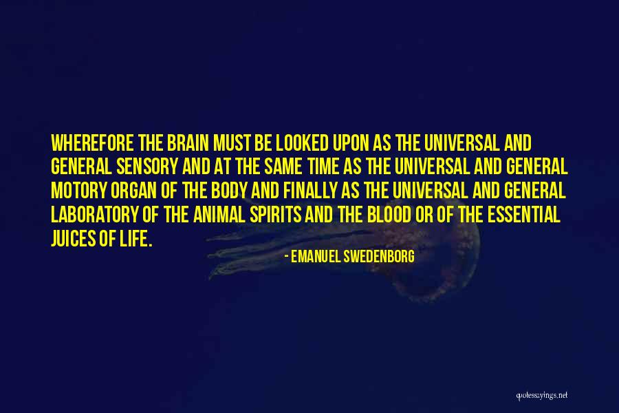 Echte Liebe Quotes By Emanuel Swedenborg Echte Liebe Quotes By Emanuel Swedenborg