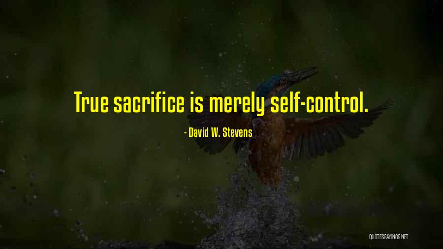 Eckberg Beachcomber Quotes By David W. Stevens Eckberg Beachcomber Quotes By David W. Stevens
