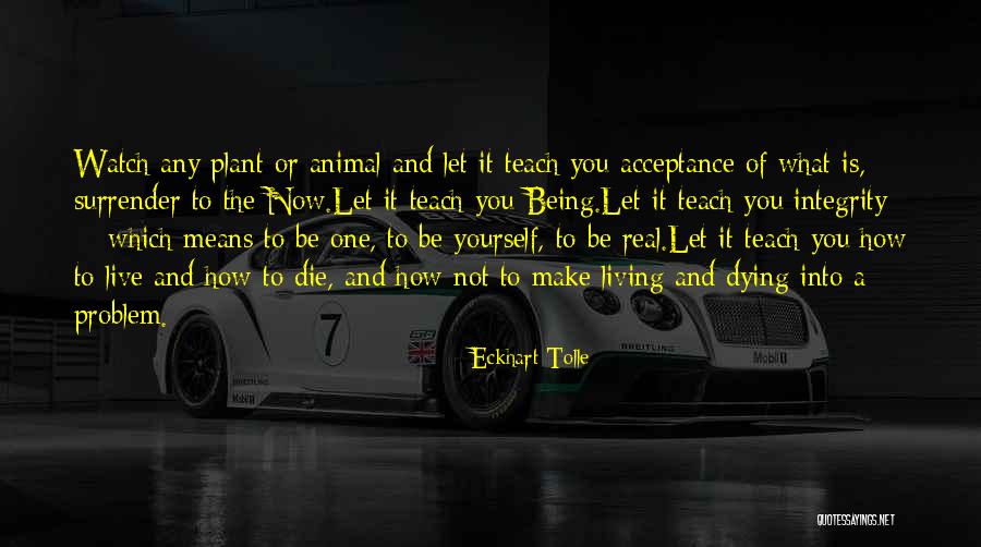 Eckhart Tolle Now Quotes By Eckhart Tolle Eckhart Tolle Now Quotes By Eckhart Tolle