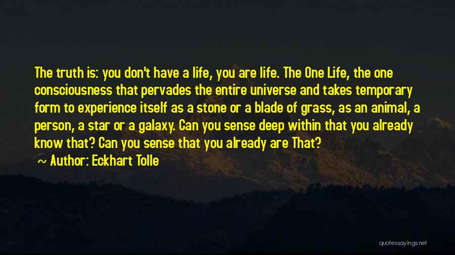 Eckhart Tolle Quotes 649438