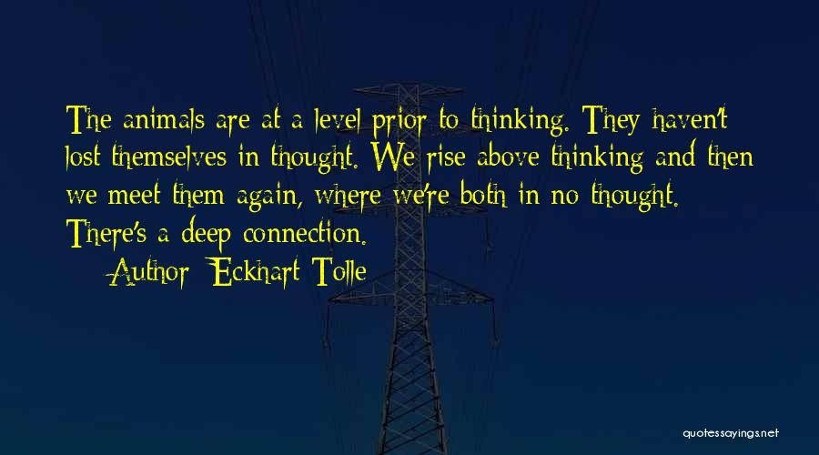 Eckhart Tolle's Quotes By Eckhart Tolle