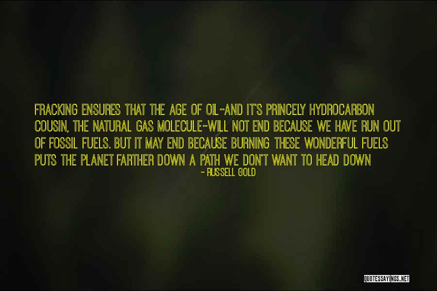 Eco Experience Progress Quotes By Russell Gold Eco Experience Progress Quotes By Russell Gold