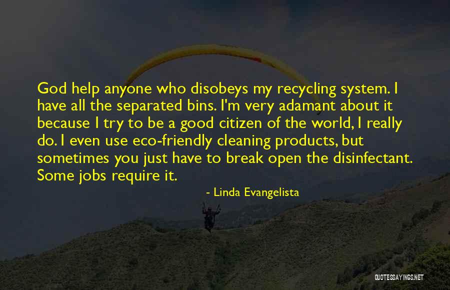 Eco Friendly Products Quotes By Linda Evangelista Eco Friendly Products Quotes By Linda Evangelista