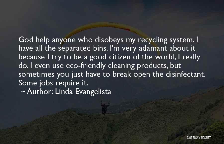 Eco Friendly Quotes By Linda Evangelista