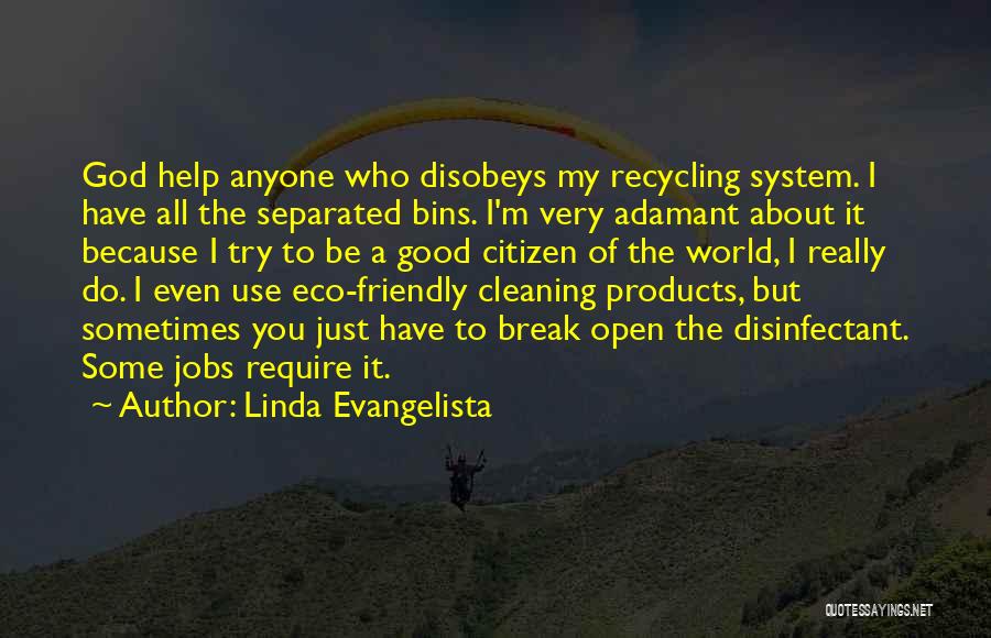 Eco Friendly World Quotes By Linda Evangelista