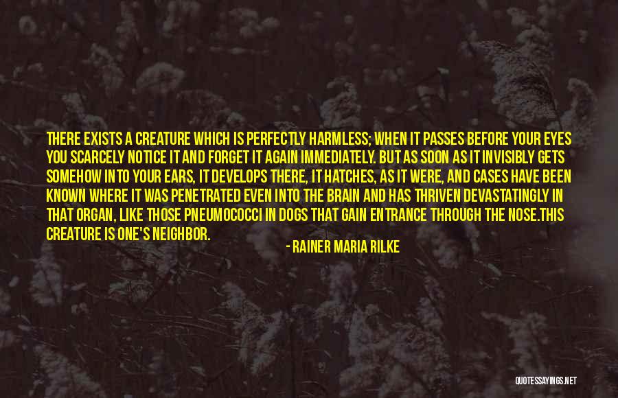Ecofeminismo Que Quotes By Rainer Maria Rilke Ecofeminismo Que Quotes By Rainer Maria Rilke