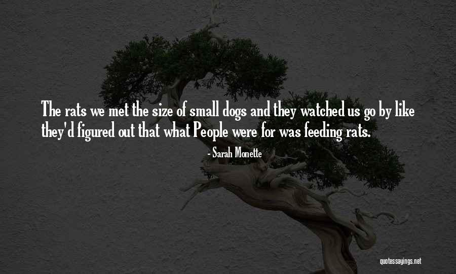 Ecologic Quotes By Sarah Monette Ecologic Quotes By Sarah Monette