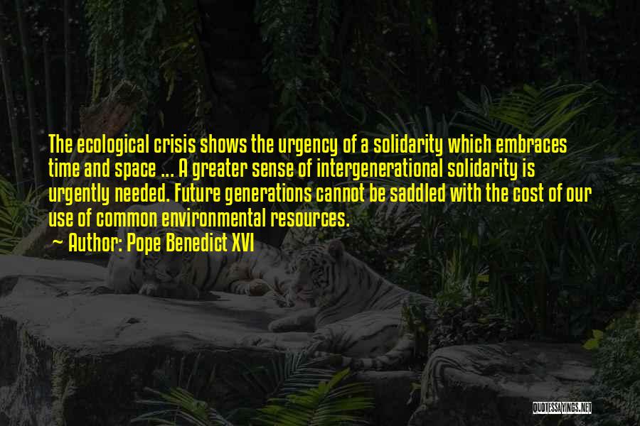 Ecological Crisis Quotes By Pope Benedict XVI