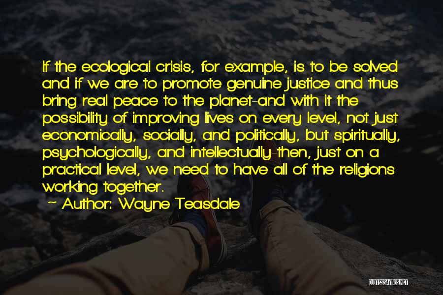 Ecological Crisis Quotes By Wayne Teasdale