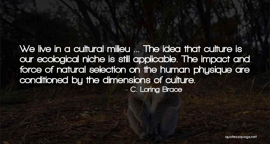 Ecological Niche Quotes By C. Loring Brace