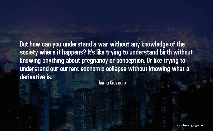 Economic Collapse Quotes By Annia Ciezadlo