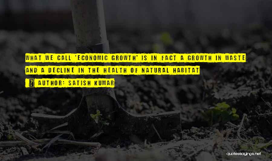 Economic Decline Quotes By Satish Kumar