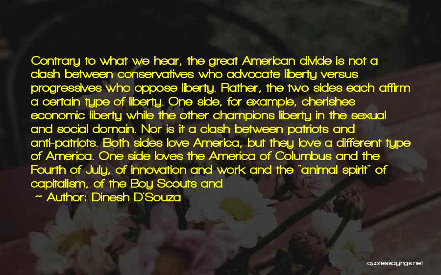 Economic Divide Quotes By Dinesh D'Souza