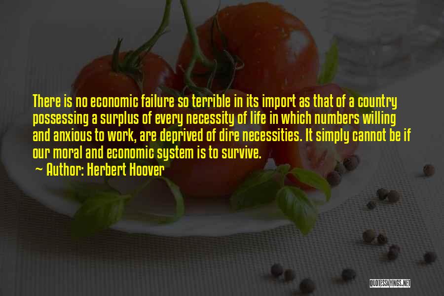 Economic Inequality Quotes By Herbert Hoover