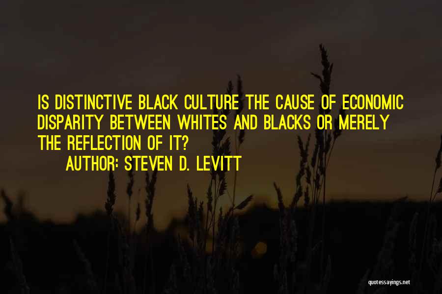 Economic Inequality Quotes By Steven D. Levitt