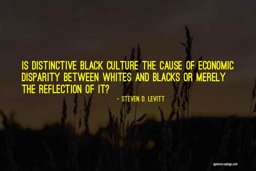 Economic Inequality Quotes By Steven D. Levitt