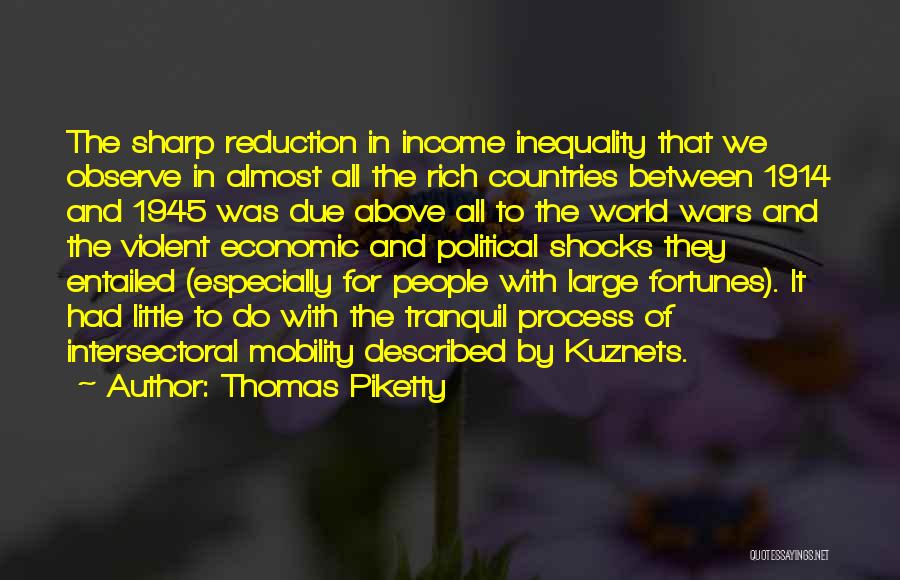Economic Inequality Quotes By Thomas Piketty