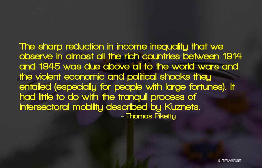 Economic Inequality Quotes By Thomas Piketty