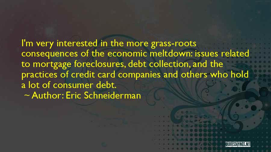 Economic Meltdown Quotes By Eric Schneiderman