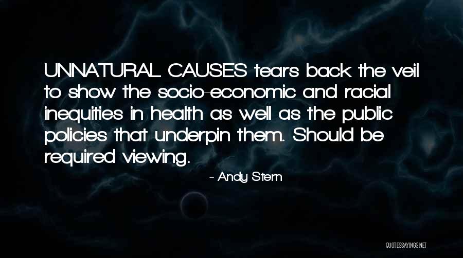 Economic Policies Quotes By Andy Stern