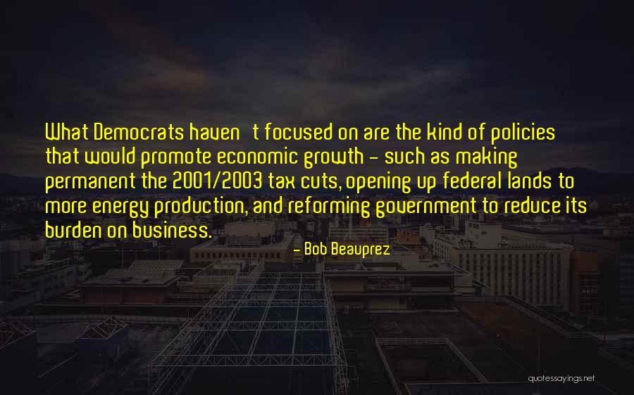 Economic Policies Quotes By Bob Beauprez