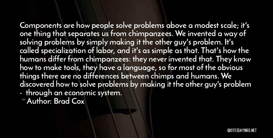 Economic Problems Quotes By Brad Cox