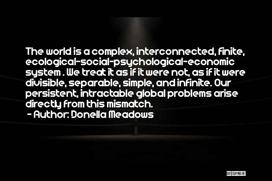 Economic Problems Quotes By Donella Meadows