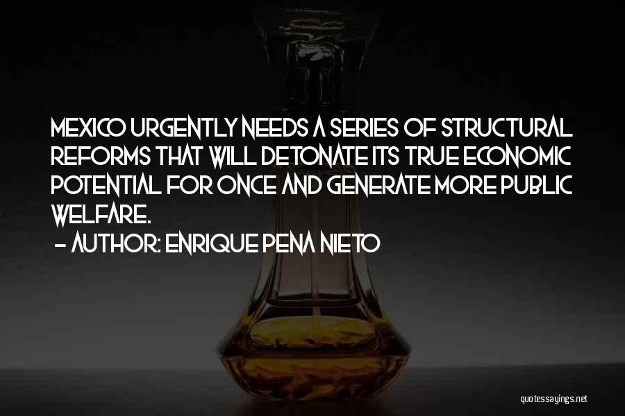Economic Reforms Quotes By Enrique Pena Nieto