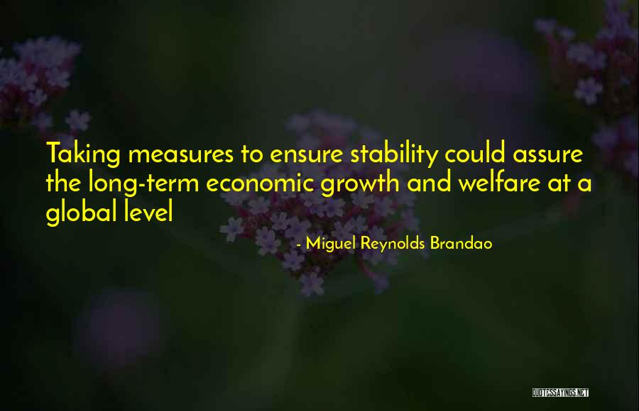 Economic Stability Quotes By Miguel Reynolds Brandao