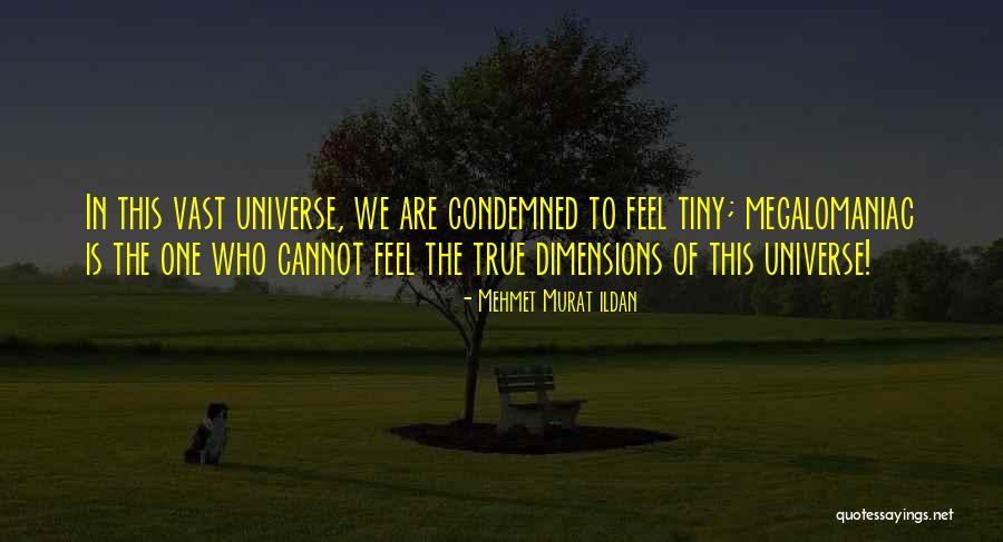 Economides Website Quotes By Mehmet Murat Ildan Economides Website Quotes By Mehmet Murat Ildan