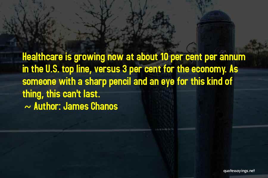 Economy 10 Quotes By James Chanos