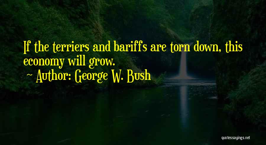 Economy And Politics Quotes By George W. Bush