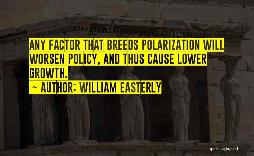 Economy And Politics Quotes By William Easterly